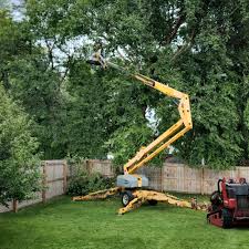 Best Tree Removal  in Washington, GA