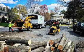 Best Hazardous Tree Removal  in Washington, GA