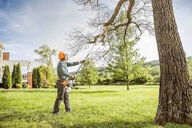 Best Emergency Tree Removal  in Washington, GA