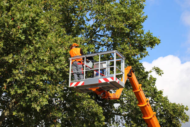 Best Leaf Removal  in Washington, GA