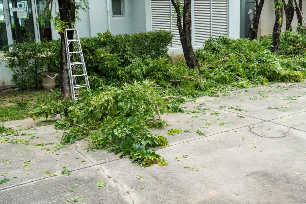 Best Storm Damage Tree Cleanup  in Washington, GA