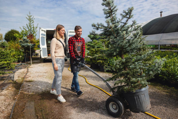 Best Weed Control  in Washington, GA